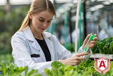 Study Biomedical Engineering in Poland