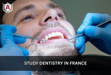 Study Dentistry in France