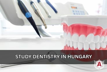 Study Dentistry in Hungary