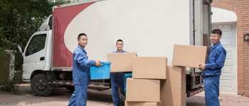 Study Supply Chain Management in Germany