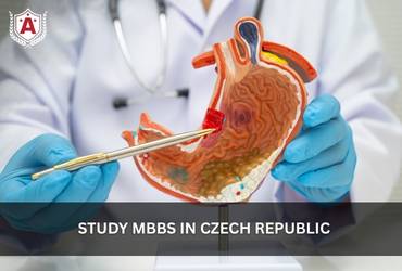 Study MBBS in Czech Republic