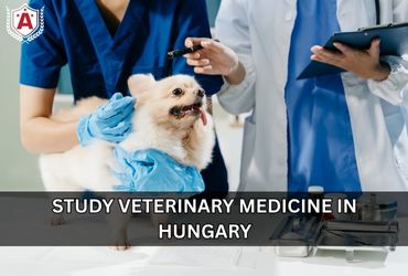 Study Veterinary Medicine in Hungary