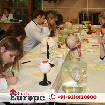 Belarusian state Medical University Practical Training