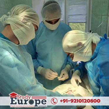 Ukrainian Medical Stomatological Academy Hospital Training